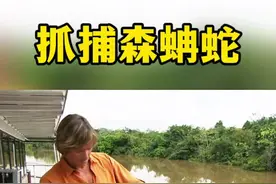 寻找森蚺#野生动物零距离视频封面