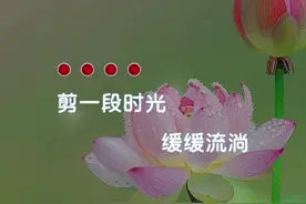 #经典老歌 #荷塘月色 #完整版视频封面