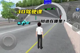 #233乐园 #3D驾驶课 #赛车游戏 这隧道在哪里呢