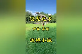 恐龙之乡黑龙江伊春的嘉荫！#旅行大玩家 #旅行推荐官 #周边游 #恐龙 #推荐我的家乡