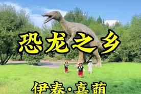 恐龙之乡黑龙江伊春的嘉荫！#旅行大玩家 #旅行推荐官 #周边游 #恐龙 #推荐我的家乡
