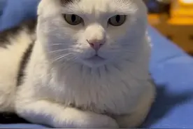 爱上有价值的，还是让所爱变的有价值？ 富士山不重要，波波特才重要。视频封面