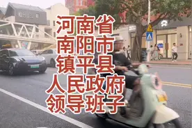 河南省南阳市镇平县人民政府领导班子 #河南 #南阳 #镇平视频封面