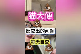 看粑粑判断你家猫是否健康，养猫人 一定要知道的这些事#科普一下 #干货分享 #猫咪 #经验分享 #知识分享