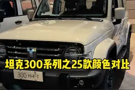 25款坦克300车型的颜色，你喜欢哪个呢？ #坦克500 #坦克300 #25款坦克300来了 #坦克300百城万里探秘之旅 #25款坦克300怎么样