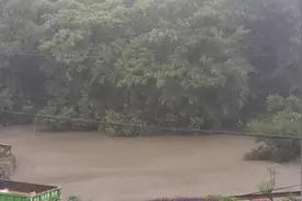 杭州今天这雨是杀红眼了呀，昨晚下了一夜，今天又连续下了一天视频封面