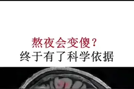 熬夜会变傻，是有科学依据的#热门 #熬夜的危害 #经常熬夜对大脑的危害 #熬夜