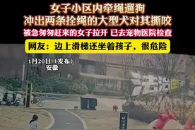 女子小区内牵绳遛狗，冲出两条拴绳的大型犬对其撕咬，被急匆匆赶来的女子拉开 已去宠物医院检查，网友:边上滑梯还坐着孩子，很危险视频封面