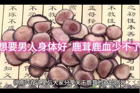 想要男人身体好 鹿茸鹿血少不了#生活常识 #营养丰富视频封面