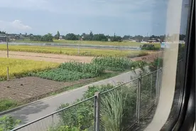 拍摄于宝成铁路四川德阳广汉境内，曾经K165次（西安-昆明