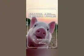 #每日分享  |五花肉选下五花，肥瘦均匀......买猪肉记住这7招，再也不怕被坑。网友：难怪我妈买肉要用指头戳。#新华每日电讯视频封面