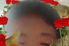 量子之歌顺风顺水。视频封面