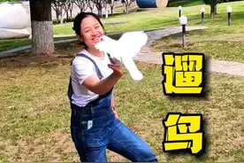 户外放飞。 遛鸟很刺激，轻易不要尝试，放飞绳很必要#手养鹦鹉 #手养鸟 #放飞绳 #户外放飞鹦鹉 #户外放飞视频封面