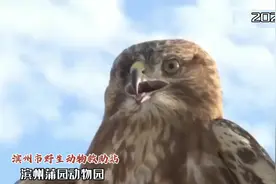 滨州市野生动物救助站（蒲园动物园视频封面