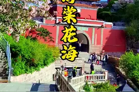 那远山呼唤你来泰山，看满山海棠花的浪漫。#那远山呼唤起东方美学 #那远山呼唤我摄影大赛 #那远山呼唤我 #泰山视频封面