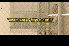#因为一个片段看了整部剧 #关注我一起追剧 #电影片段剪辑 #动作电影 #我的观影报告