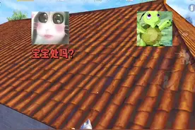 背叛：今天的外卖真不戳！#双面龟#少萝#宝宝