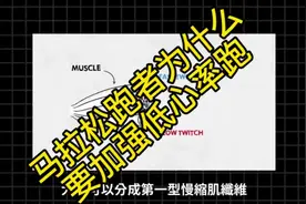 你的低心率慢跑方法对吗？#修修 #马拉松 #跑步 #运动 #万米长跑视频封面