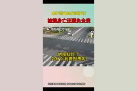 开车撞了闯红灯的人，要不要担责任，该怎么处理#汽车知识分享 #汽车知识 #行车安全#带你懂车 #用车有妙招视频封面