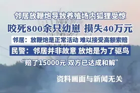 邻居放炮致狐狸咬死数百只幼崽，警方：并非故意，双方已达成赔偿协议（极目新闻）#狐狸