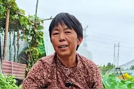 蒜地里面套菠菜，赶紧种起来吧！#菠菜  #大蒜种植 #三农 #种大蒜 #蔬菜种植 @DOU+小助手 @DOU+上热门 @