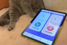 当我家猫遇上“猫语翻译器”！！会听得懂吗 #宠物圈的霹雳鼓手 #万物可爱计划#谁能拒绝傻憨憨的小猫咪