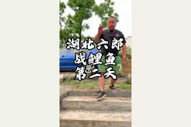 湖北六郎水库野钓鲤鱼第二天#爆护要喝香飘飘 #麦子多打不死窝 #六郎水库视频封面
