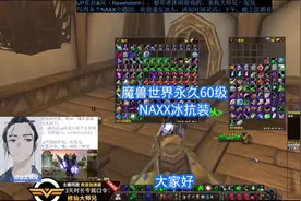 魔兽世界永久60级 NAXX冰抗装#魔兽世界 #乌龟服 #一起玩游戏