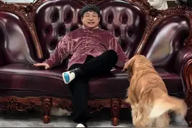 养狗和吃猫的区别 #铲屎官的乐趣 #它真的好像个小宝宝 #万物可爱计划 #猫狗双全