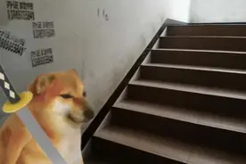 对不起，孩子，我不能让你成为.......等等不对！#不火系列 #伤感