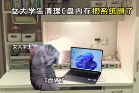求删系统教程😅#猫meme #真实还原 #大学生 #电脑视频封面
