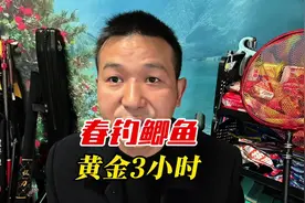春钓鲫鱼黄金3小时！鲫鱼乖乖排队咬钩时段表，上鱼率提高80%视频封面