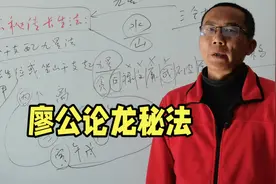 廖公论龙秘法视频封面