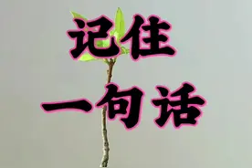 路是自己走的，嘴是别人的，好听的话别当真，难听的话别生气，善良不代表傻，忠厚不代表笨，你真我更真，你假我转身.#真正对你好的人#悟人生之道#人生感悟语录 @DOU+小助手视频封面