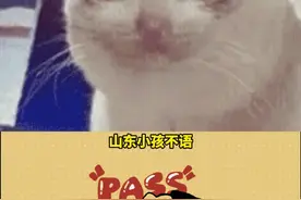 山东小孩不语，只是一味的共情#山东 #人情世故  #内容过于真实 #山东人视频封面