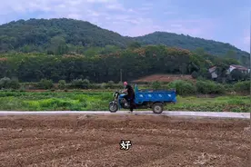 牛排骨焖土鸡，初秋的下酒硬菜，吃完笑哈哈！#新农人计划2024