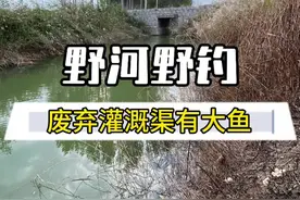 钓鱼最高境界，还得是大爷#2024dou来钓鱼 #原来钓鱼才是抖音运动顶流 #dou是钓鱼人 #老坛维它米 #钓鱼王地狱猫视频封面