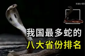 我国最多蛇的八大省份排名……视频封面