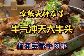 杨浦宝藏牛肉馆里的牛气冲天大牛头#抖音美食推荐官 #用美食打开这场春分 #牛肉 #卤牛头 #全牛宴