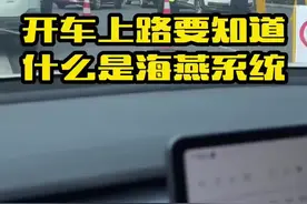 开车上路你知道什么是海燕系统吗#每天一个汽车用车知识 #车知识分享计划视频封面