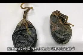 熊胆粉的功效知多少？