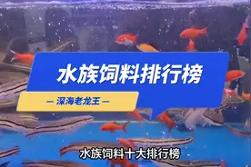 养鱼人应该都认识的鱼饲料，我给它做个排行，你们看看就好