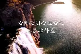 心阳心阴心血心气的区别 #中医 #心脏病 #科普