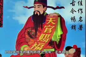 #1982年出生的属狗命理视频封面