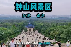 南京钟山风景区保姆级攻略来啦。带你一天玩转中山陵，明孝陵