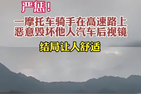严惩！一摩托骑手高速上恶意损坏其他车辆后视镜，结局让人舒适#交通安全 #道路千万条安全第一条视频封面