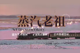 今年春运，蒸汽老祖和绿皮老祖为你保驾护航！#春运 #蒸汽火车视频封面