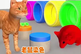 儿童益智动画，老鼠吃了饼干就变颜色了，有红色，绿色，蓝色