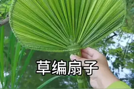 草编扇子 编扇子的材料，不用花一分钱就能得到，麦田边可多了，可以当麦秆用，不只是能编扇子，还能编各种各样的工艺品，想编的可以准备材料，我来教大家编各种各样的，夏天蚊子很多，去户外的朋友可以准备这个避蚊胺驱蚊液，很好用。