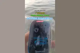 2025年7月5日早海水数值#创作灵感 #核污水 #核污水排海 #广东 #海洋